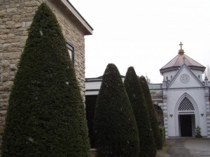 Dove ti porta il viale