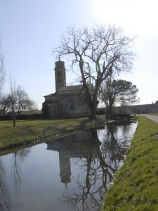 Riflesso nella natura