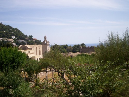 Capri - Certosa antichissima