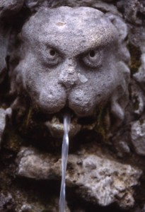 Vicenza, particolare di fontana