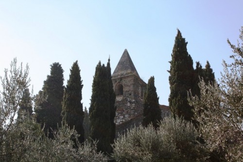 Sirmione - Campanile di San Pietro in Mavino tra campanili naturali - Sirmione