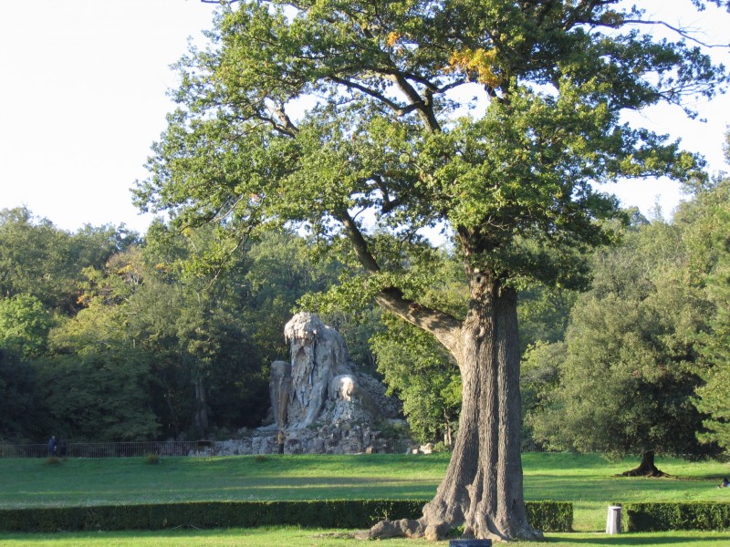 ''Il Colosso dell’Appennino 2'' - Vaglia