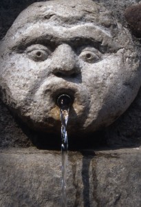 particolare di fontana di Castiglione Olona