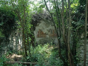 Resti tra la vegetazione