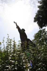 San Francesco e la Luce