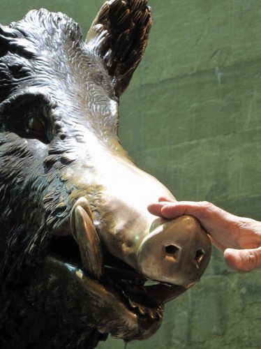 Firenze - Il porcellino Firenze - Il porcellino