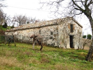 Chiesa San Giorgio, località di Arcevia