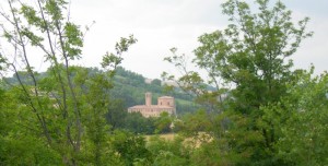 Uno spiraglio nel verde