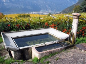 Maderno-la bella collina di Trento