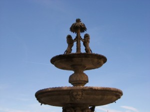 fontana di palazzo dei priori