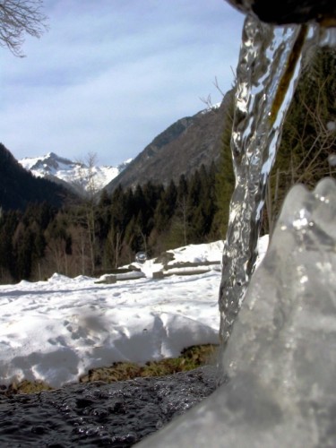 Carisolo - Fonte nel Parco naturale Adamello-Brenta