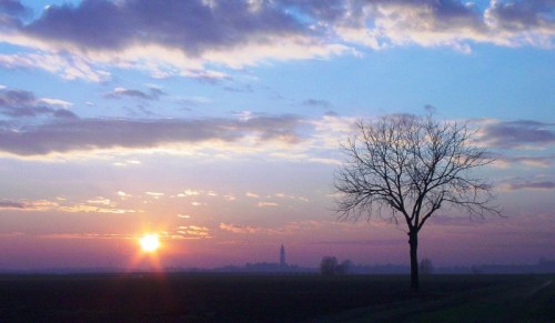 Aquileia - L'albero, il sole, la basilica