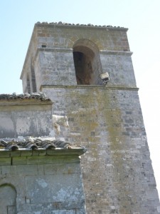 Particolare santa Maria della Strada