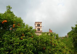 Il campanile emerge dall’aranceto