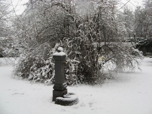 Vedovella….innevata