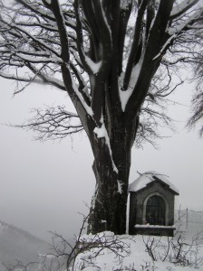 Madonna del Quaggione