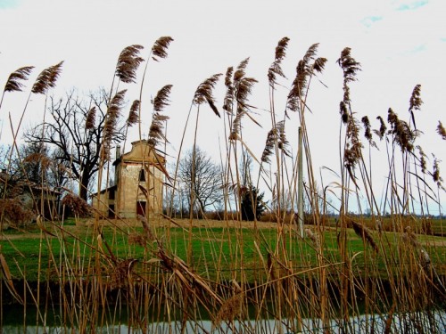 Fabbrico - La chiesa di San Genesio nascosta dalle fratte Fabbrico - La chiesa di San Genesio nascosta dalle fratte