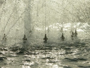 particolare dell’acqua della fontana a Quarto Oggiaro