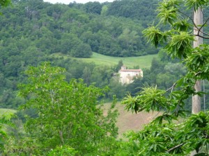 La Chiesa di San Pietro e San Donato di Lognola