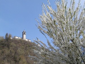 l’incanto della primavera…