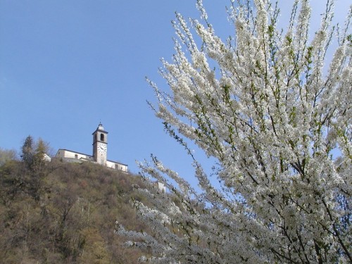 Comeglians - l'incanto della primavera... Comeglians - l'incanto della primavera...
