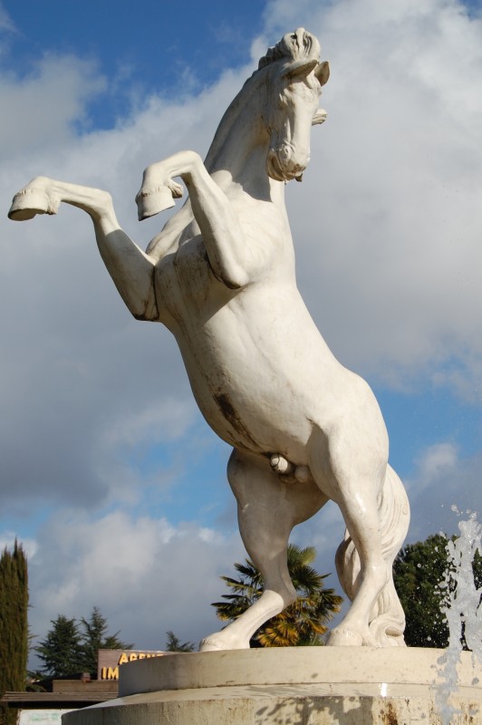''Il cavallo rampante'' - Rocca Priora