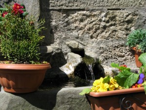 San Quirico fontanella tra i fiori