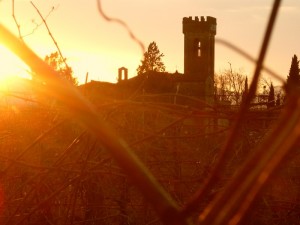 l’abbazia tra le vigne