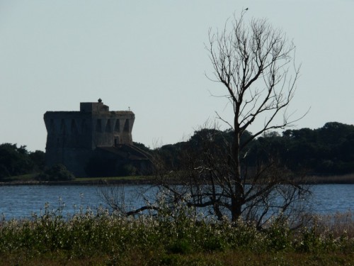 Capalbio - La Torre di Buranaccio
