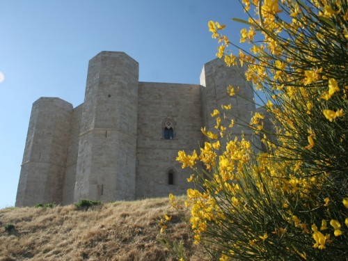Andria - Il castello di federico profumato di ginestre