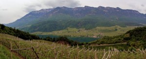 Il Lago di Caldaro dalle Vigne di Laimburg