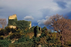 Le rovine del castello di Saccomuro