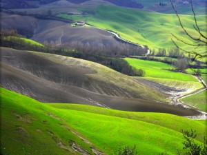 Paesaggio nella zona delle crete senesi - n.2