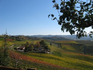 Colori d’Alba al pomeriggio..