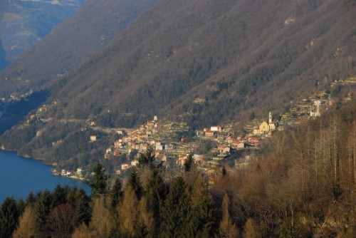 Faggeto Lario - Bellezze Lariane..vista di Pognana Lario Faggeto Lario - Bellezze Lariane..vista di Pognana Lario