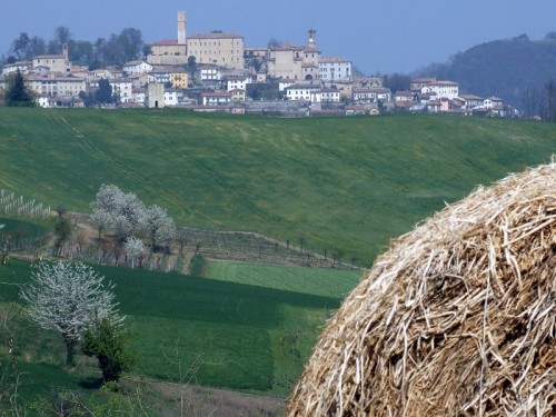 Murisengo - Monferrato.