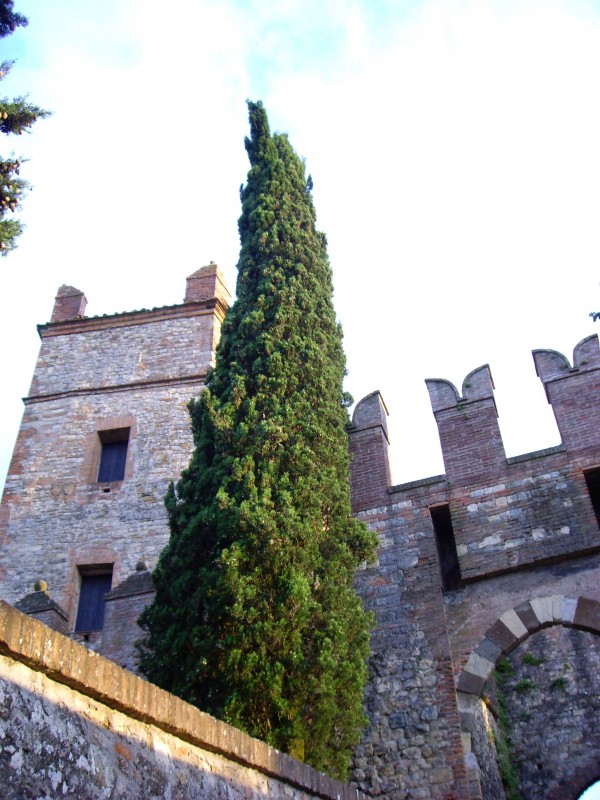''castello2'' - Castello di Serravalle