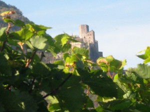 Castello di Appiano tra le vigne