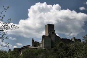 Il castello delle Carpinete