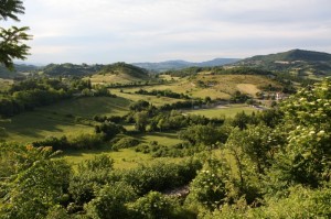 Panorama colline Marchigiane
