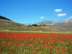 I quadri di castelluccio