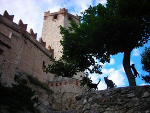 il castello di Malcesine