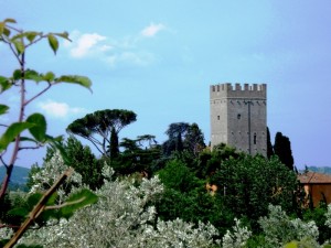 Torre che svetta tra il verde Toscano
