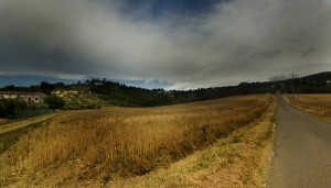 Alle pendici della Calvana