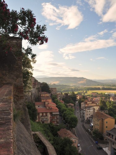 Orte - Panorama di Orte dalla Rocca