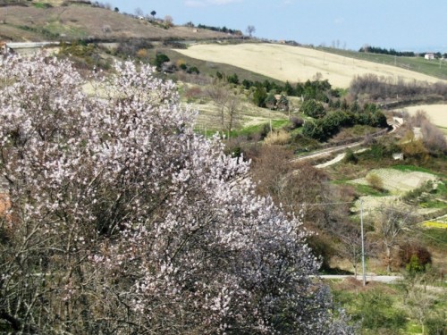 Casacalenda - Panorama primaverile