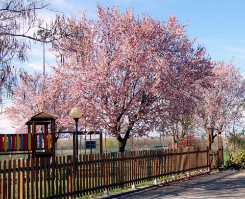 Molino dei Torti - Primavera a Molino