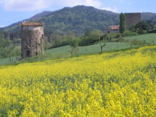 Sansepolcro - la torraccia