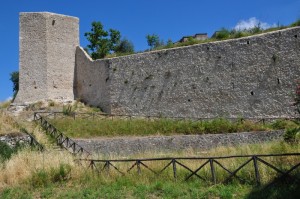 Antica Cinta Muraria e Torre di Fortificazione di Amelia (TR) - Foto n. 2