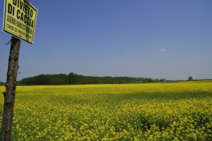 Primavera in Polesine